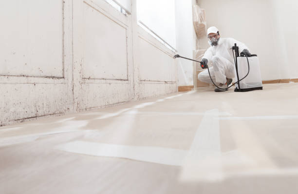 24/7 Emergency Mold Remediation experts in Berkeley, IL
